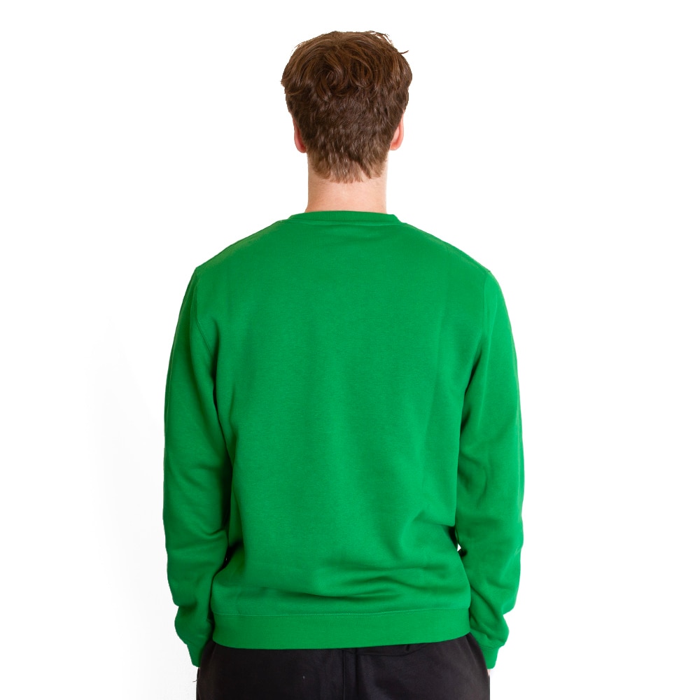 Classic Oregon O, Nike, Green, Pullover, Cotton Blend, Men, Club, Fleece, Pullover, Sweatshirt, 792260